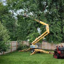 Best Leaf Removal  in Hillside Lake, NY