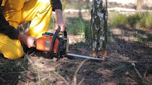 Best Lawn Irrigation Installation and Maintenance  in Hillside Lake, NY